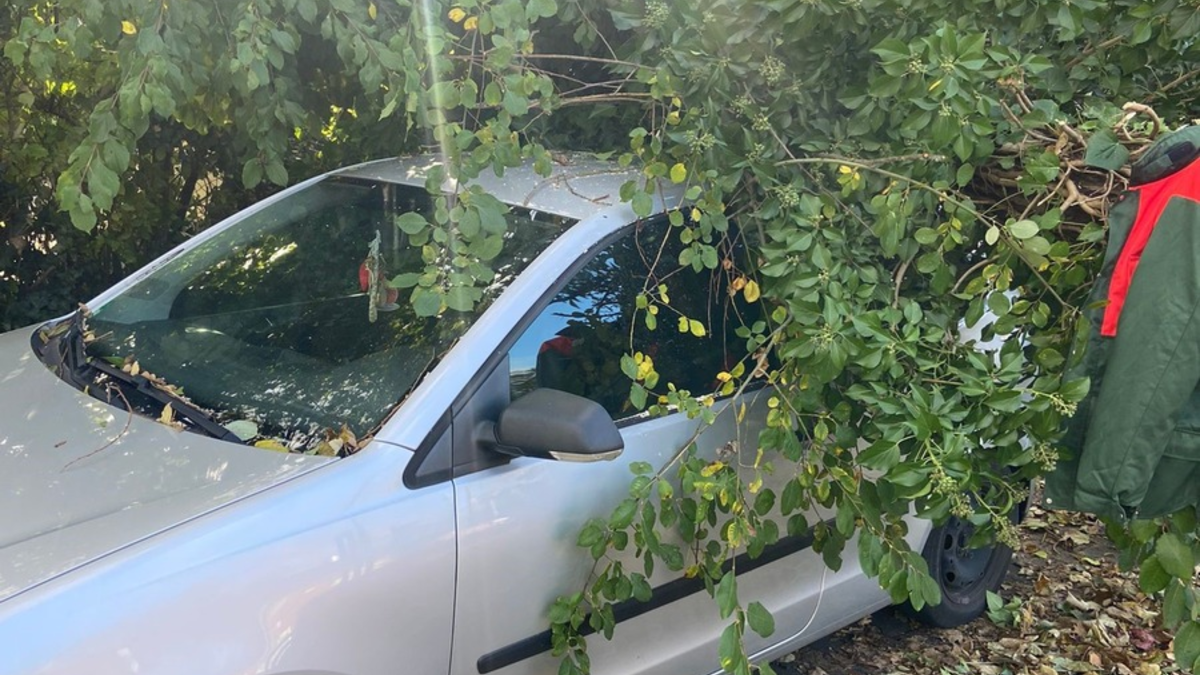 FW-GE: Sturmtief über Gelsenkirchen beschert der Feuerwehr zahlreiche Einsätze - Foto: presseportal.de