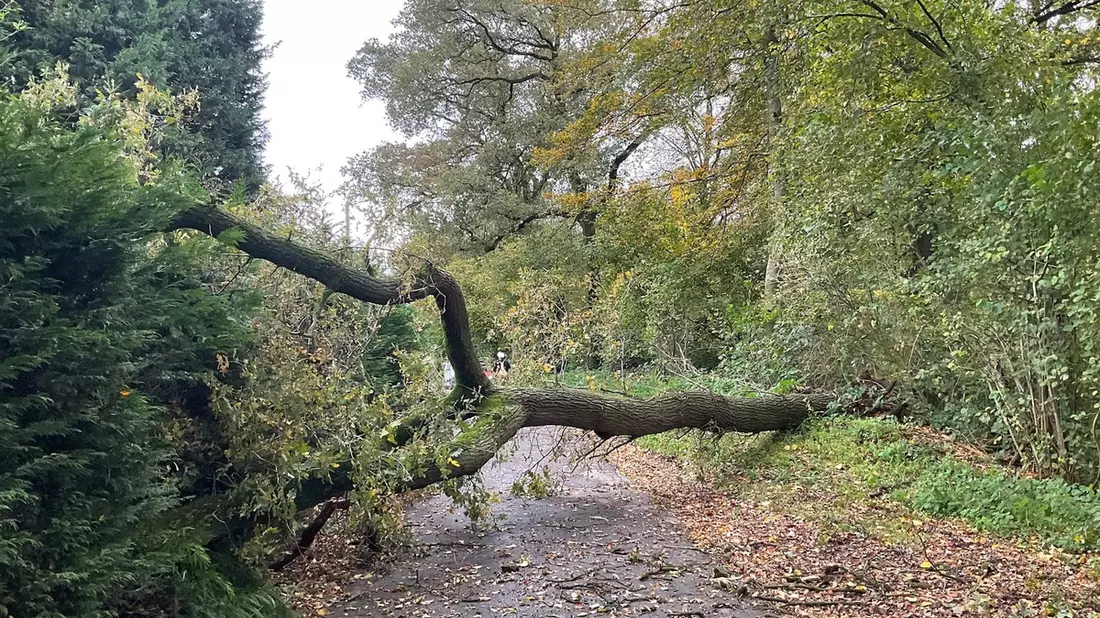 FW-EN: Technische Einsatzleitung des Ennepe-Ruhr-Kreises übt drei Tage in Münster - Bild: presseportal.de