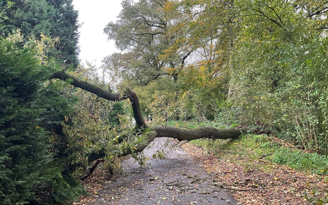 FW-EN: Technische Einsatzleitung des Ennepe-Ruhr-Kreises übt drei Tage in Münster - Foto: presseportal.de