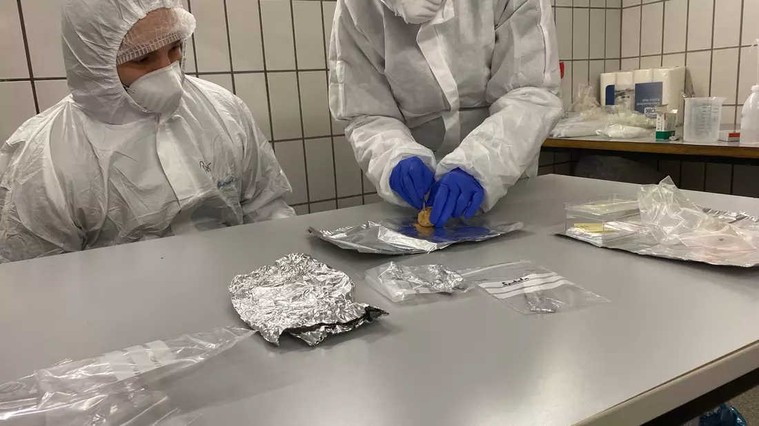 Wie eine Zeitkapsel enthalten Koprolithen Hinweise auf die Produzenten der Exkremente und deren Nahrung: die verdauten Tiere und Pflanzen. - Bild: Yvonne Tafelmaier/Universität Konstanz/dpa