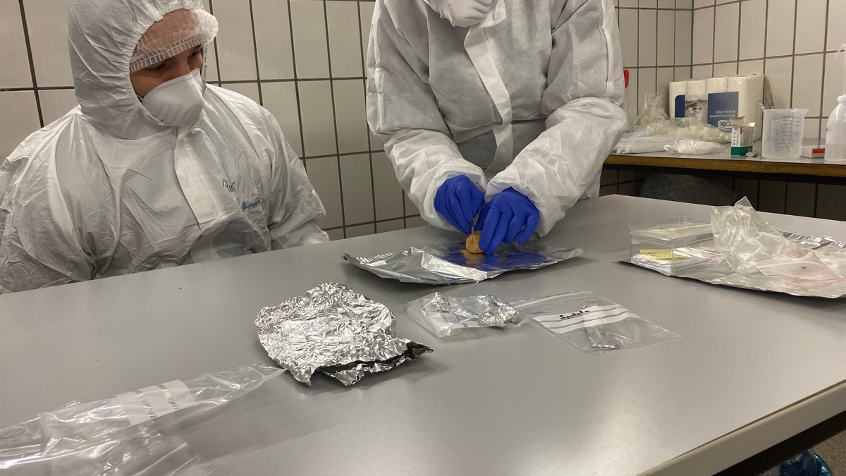 Wie eine Zeitkapsel enthalten Koprolithen Hinweise auf die Produzenten der Exkremente und deren Nahrung: die verdauten Tiere und Pflanzen. - Foto: Yvonne Tafelmaier/Universität Konstanz/dpa