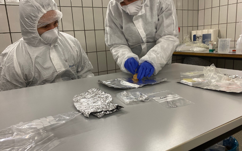 Wie eine Zeitkapsel enthalten Koprolithen Hinweise auf die Produzenten der Exkremente und deren Nahrung: die verdauten Tiere und Pflanzen. - Foto: Yvonne Tafelmaier/Universität Konstanz/dpa