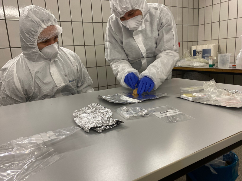 Wie eine Zeitkapsel enthalten Koprolithen Hinweise auf die Produzenten der Exkremente und deren Nahrung: die verdauten Tiere und Pflanzen. - Foto: Yvonne Tafelmaier/Universität Konstanz/dpa