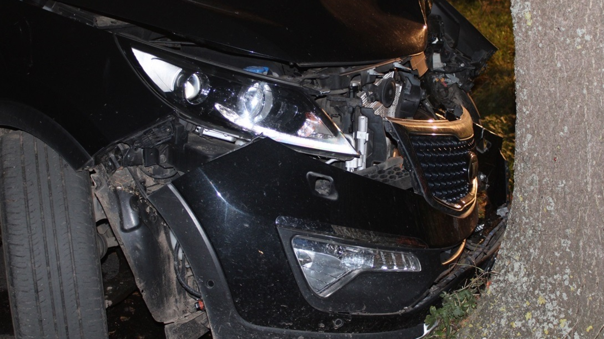 POL-MI: Auto prallt gegen Baum - Fahrer schwer verletzt - Foto: presseportal.de