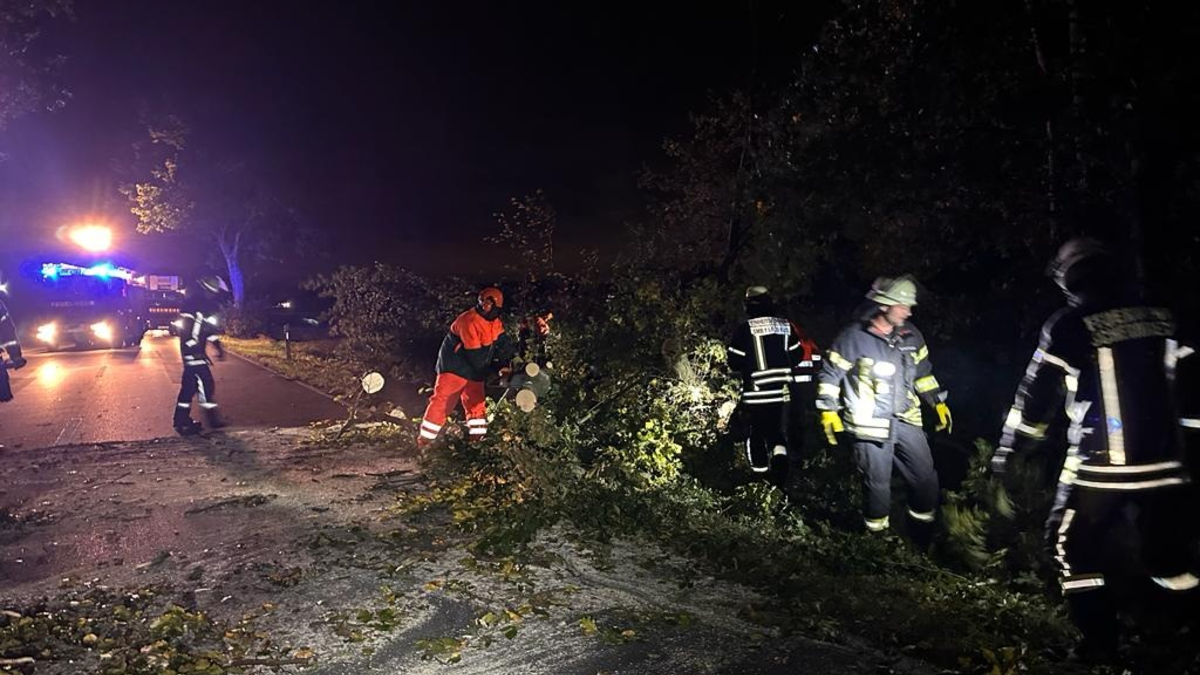 FW-Schermbeck: Einsätze Sturmschäden - Foto: presseportal.de
