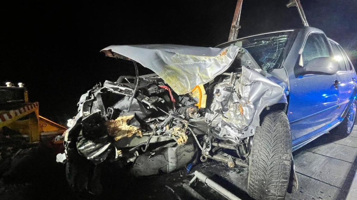 FFW Schiffdorf: Pkw kommt von Fahrbahn ab und prallt gegen Baum - Foto: presseportal.de