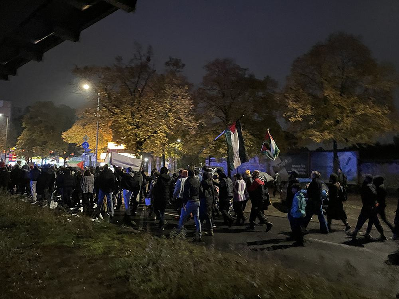 Pro-Palästina-Demo (Archiv) - Foto: über dts Nachrichtenagentur