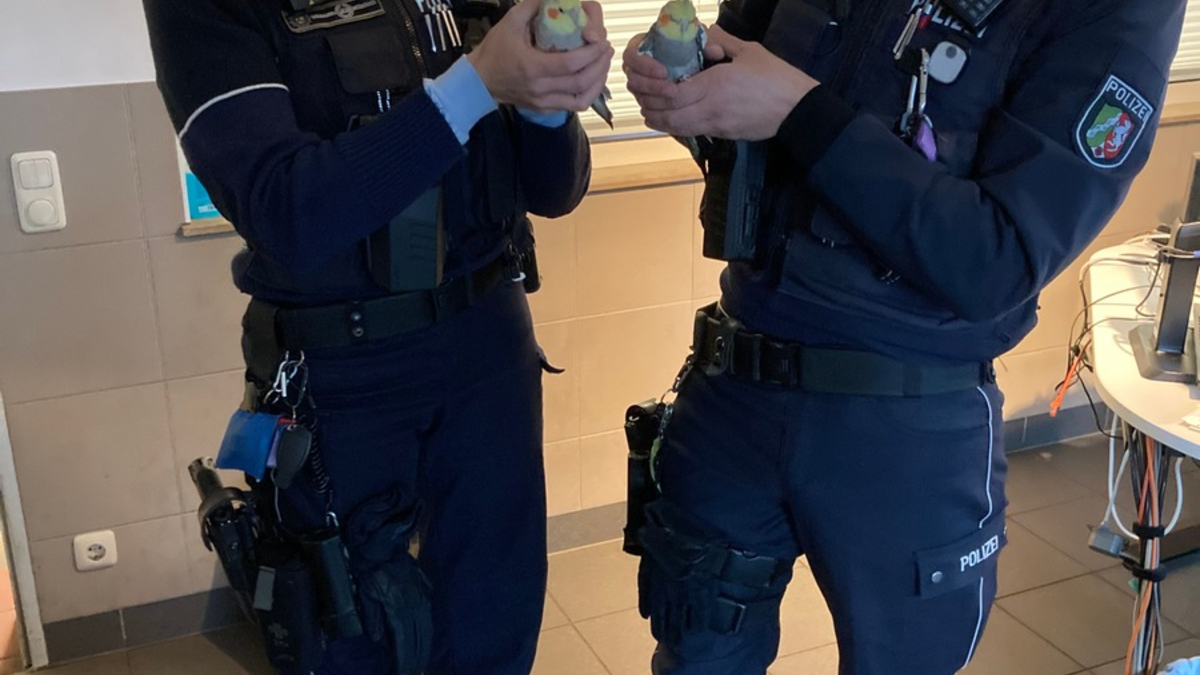 POL-BO: Zwei Vögel steh'n im Regen - Foto: presseportal.de