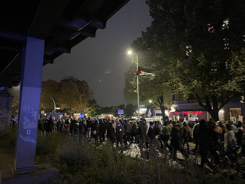 Pro-Palästina-Demo (Archiv) - Foto: über dts Nachrichtenagentur