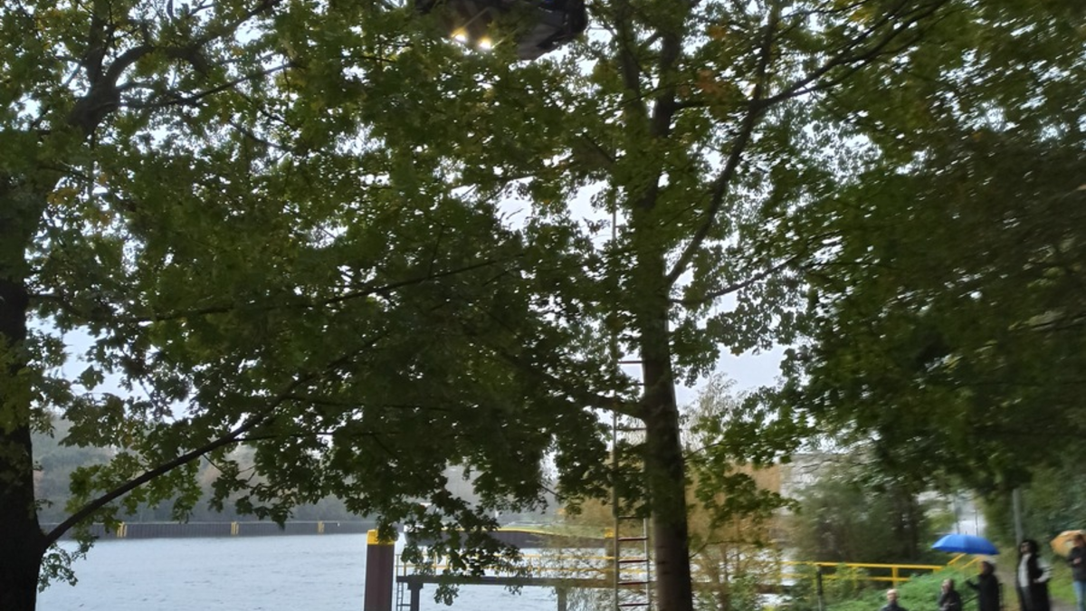 FW-OB: Feuerwehr rettet Katze aus Baum - Foto: presseportal.de