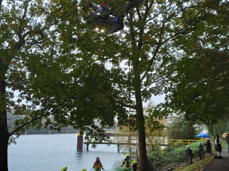 FW-OB: Feuerwehr rettet Katze aus Baum - Foto: presseportal.de