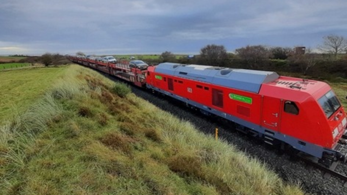 BPOL-FL: Morsum - Autozug kollidiert mit Rinderherde - Foto: presseportal.de