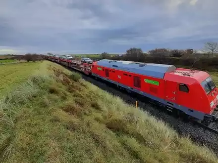BPOL-FL: Morsum - Autozug kollidiert mit Rinderherde - Foto: presseportal.de