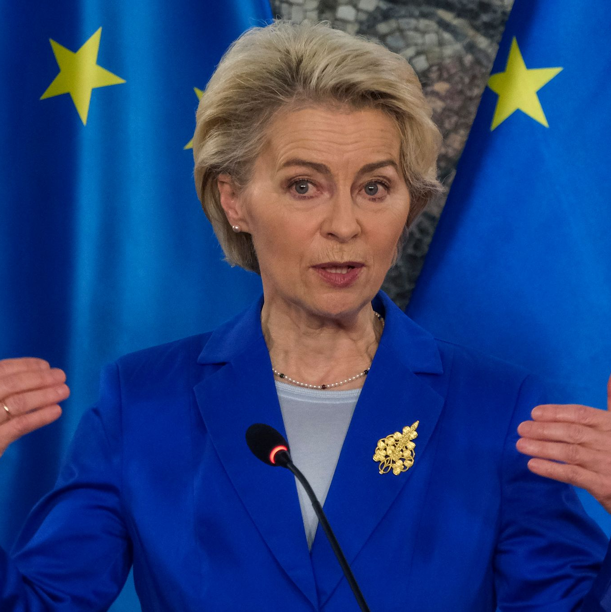 EU-Kommissionspräsidentin Ursula von der Leyen. - Foto: Risto Bozovic/AP/dpa