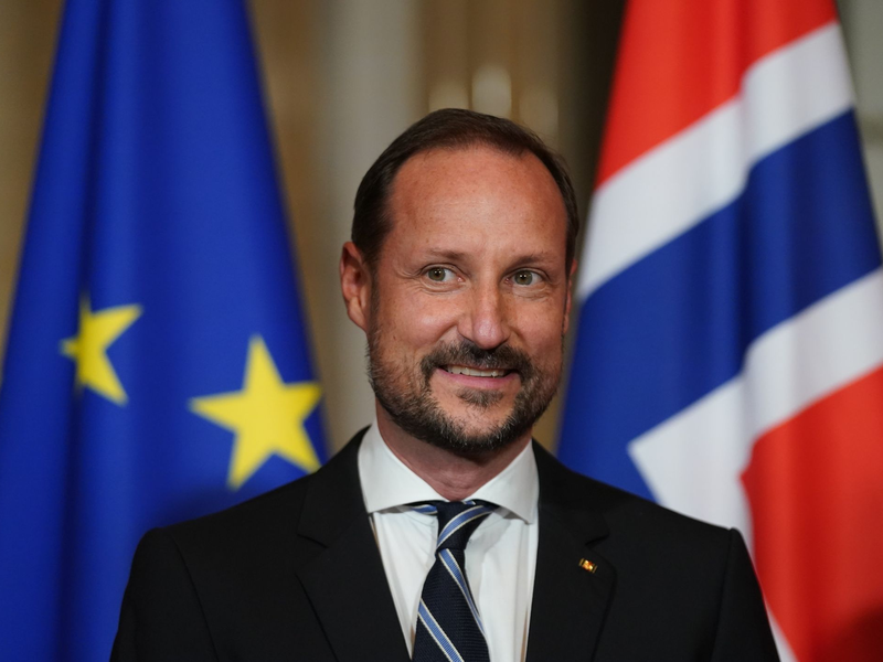 Der norwegische Kronprinz Haakon ist im ICE von Hamburg nach Berlin gereist. - Foto: Marcus Brandt/dpa