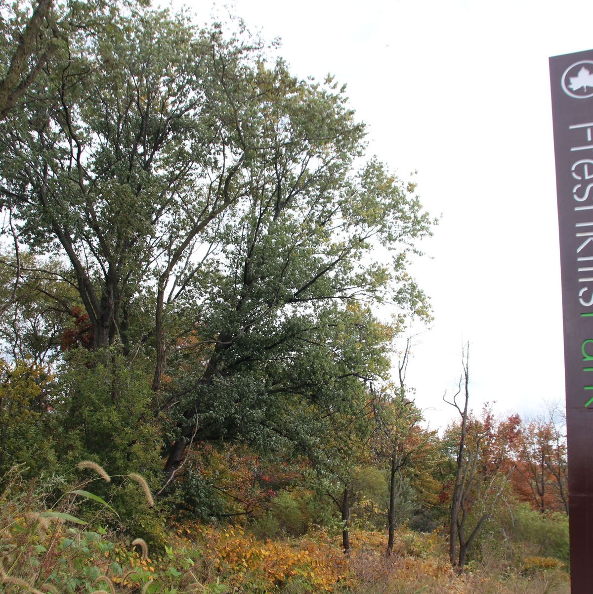 Der «Freshkills»-Park soll fast drei Mal so groß werden wie der Central Park. - Foto: Christina Horsten/dpa