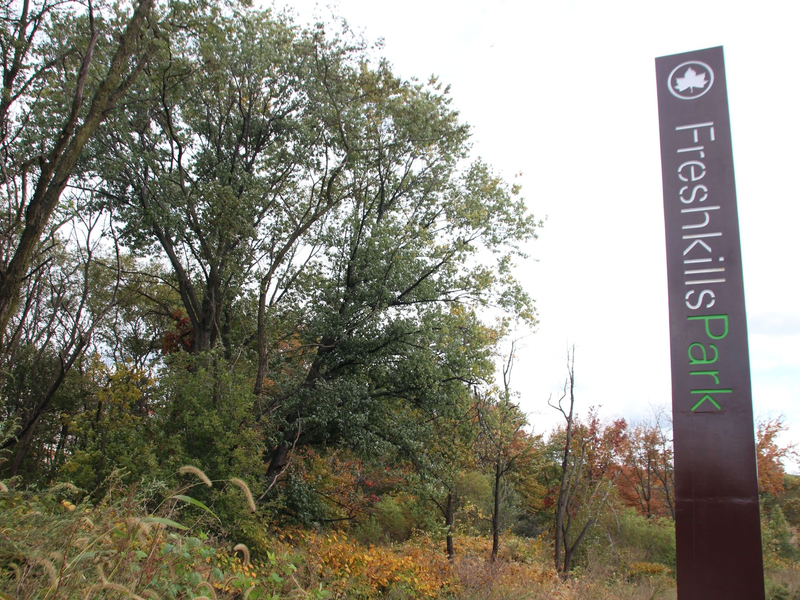 Der «Freshkills»-Park soll fast drei Mal so groß werden wie der Central Park. - Foto: Christina Horsten/dpa