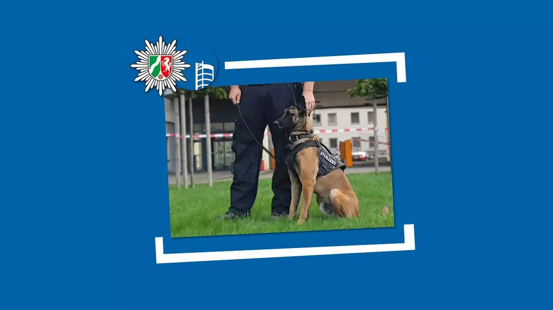 POL-OB: Mutmaßlicher Dieb schläft im Diebesgut - Diensthund Figo erfolgreich im Einsatz - Bild: presseportal.de