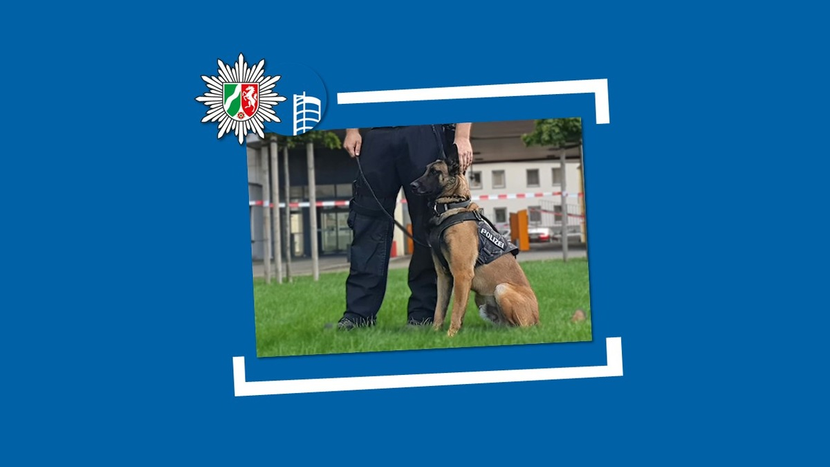 POL-OB: Mutmaßlicher Dieb schläft im Diebesgut - Diensthund 