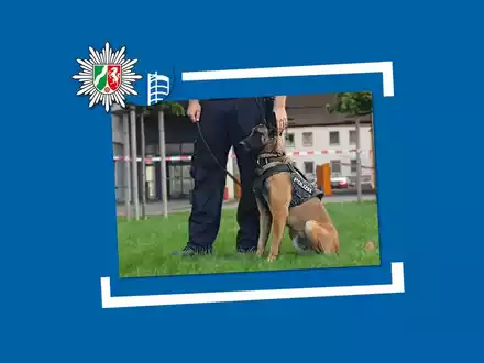 POL-OB: Mutmaßlicher Dieb schläft im Diebesgut - Diensthund Figo erfolgreich im Einsatz - Foto: presseportal.de