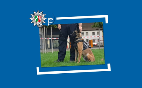 POL-OB: Mutmaßlicher Dieb schläft im Diebesgut - Diensthund Figo erfolgreich im Einsatz - Foto: presseportal.de