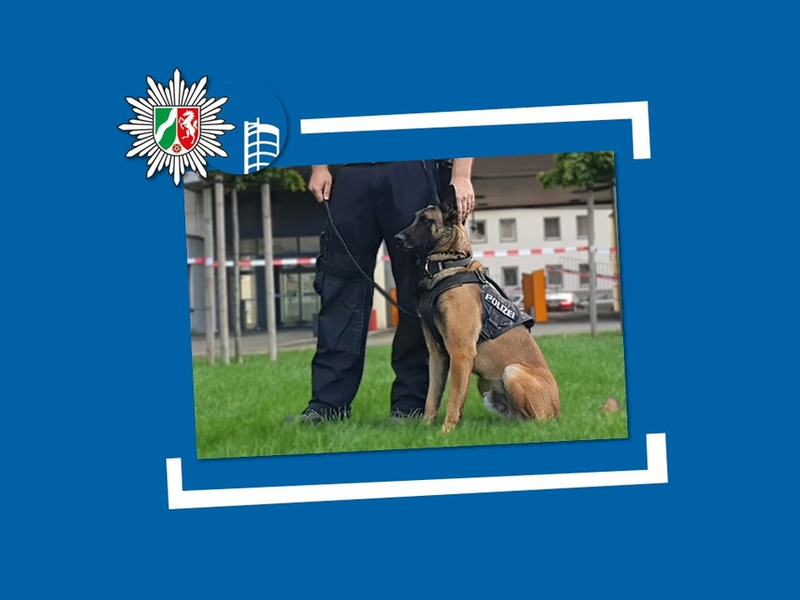 POL-OB: Mutmaßlicher Dieb schläft im Diebesgut - Diensthund Figo erfolgreich im Einsatz - Foto: presseportal.de