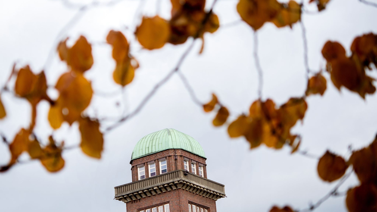 Der ehemalige Wasserturm der Alten Fleiwa steht in trübem Herbstlicht hinter den Blättern eines Baums im Botanischen Garten. - Foto: Hauke-Christian Dittrich/dpa
