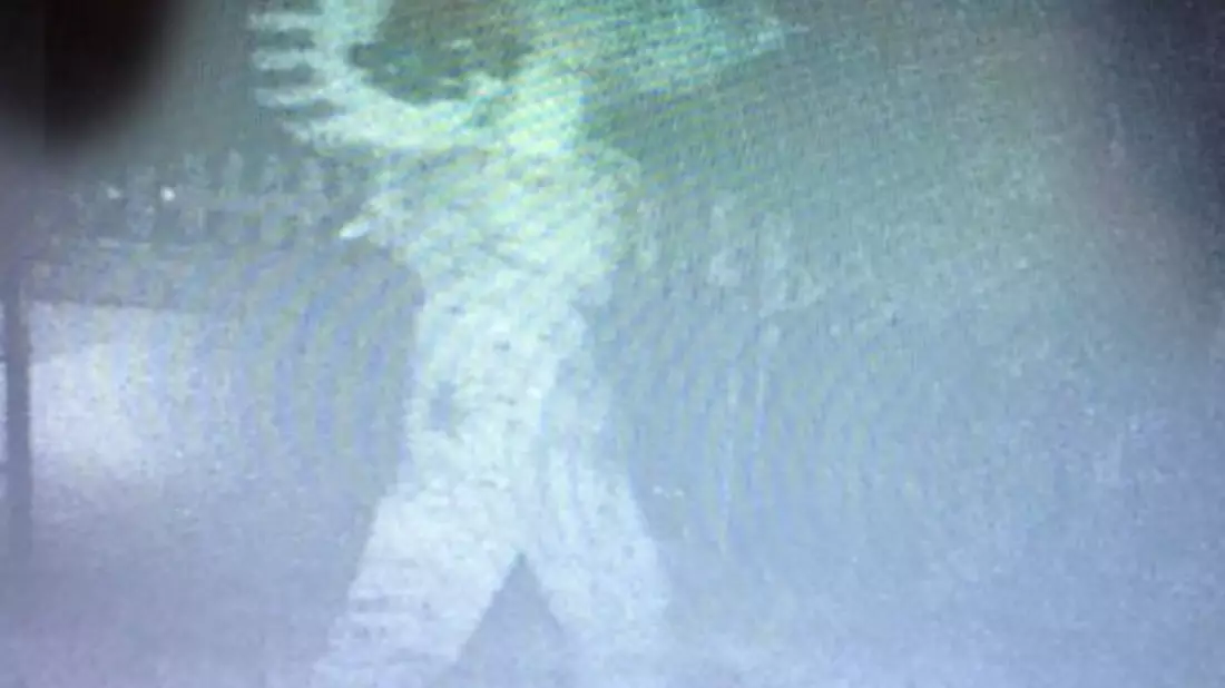POL-MK: Meerschweinchen-Dieb mit auffälligem Rucksack - Bild: presseportal.de