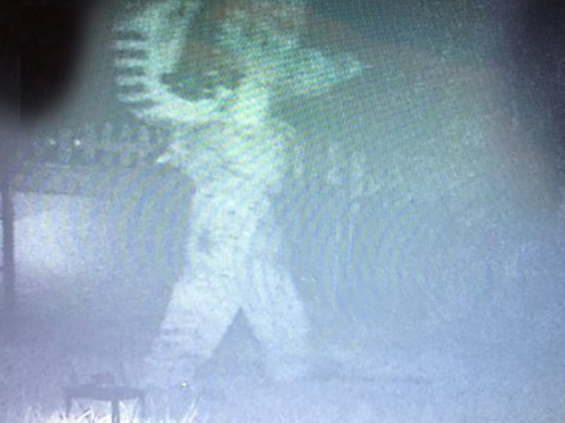 POL-MK: Meerschweinchen-Dieb mit auffälligem Rucksack - Foto: presseportal.de