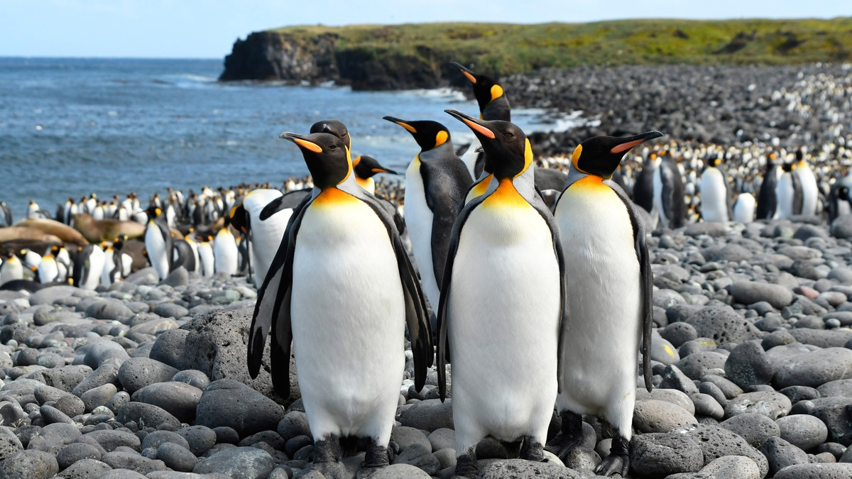 „Ein Jahr auf der Erde“ – Neue Naturdoku-Reihe im Ersten - Foto: presseportal.de