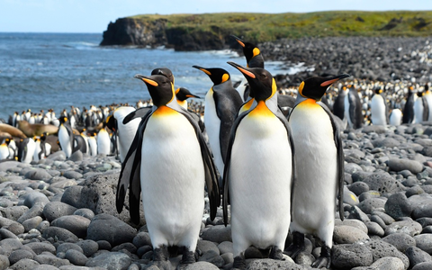 „Ein Jahr auf der Erde“ – Neue Naturdoku-Reihe im Ersten - Foto: presseportal.de