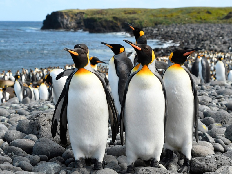 „Ein Jahr auf der Erde“ – Neue Naturdoku-Reihe im Ersten - Foto: presseportal.de