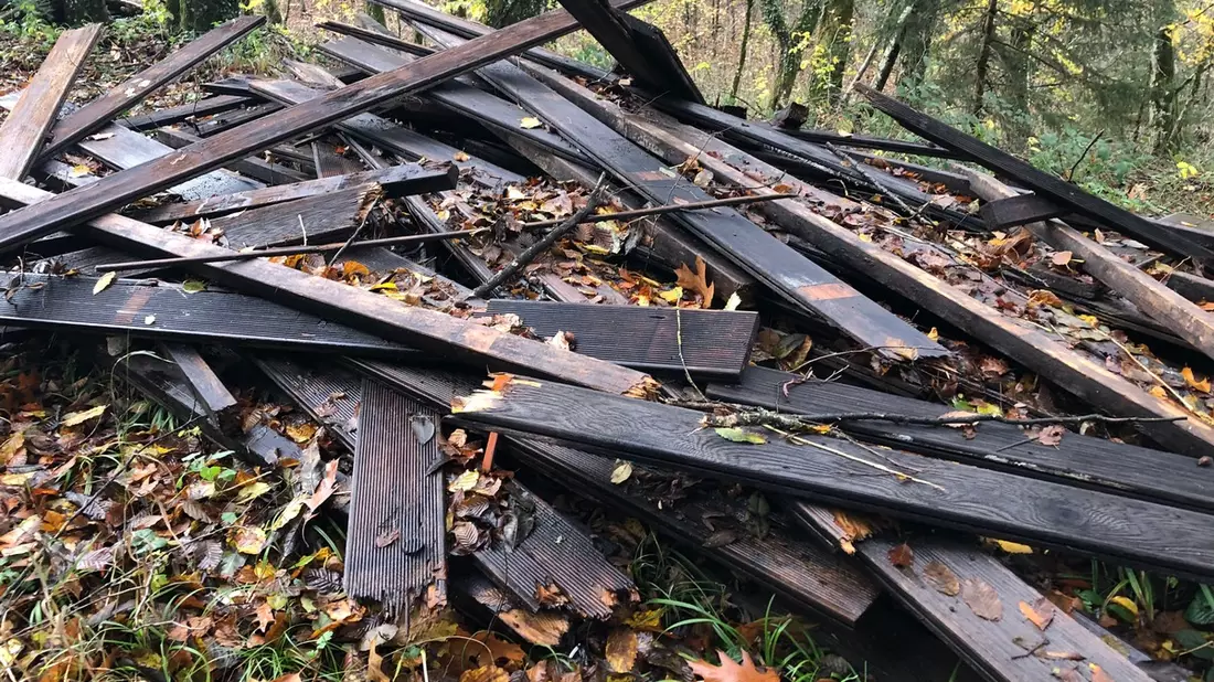 POL-FR: Schwörstadt: Im Wald illegal Holzdielen entsorgt - Polizei sucht Zeugen - Bild: presseportal.de