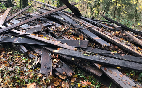 POL-FR: Schwörstadt: Im Wald illegal Holzdielen entsorgt - Polizei sucht Zeugen - Foto: presseportal.de
