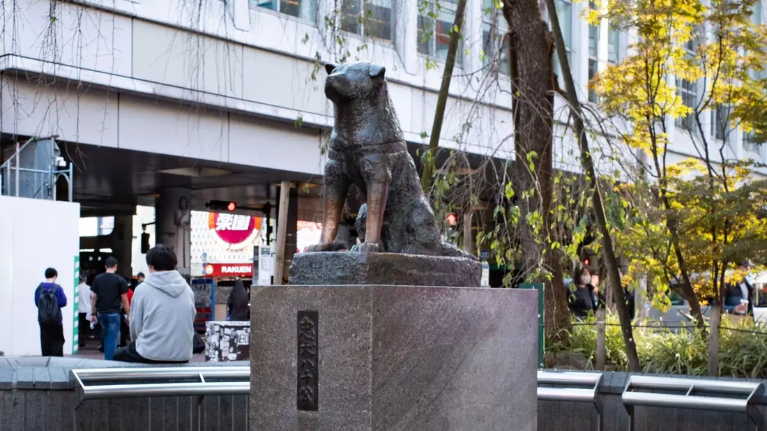 Die Hachiko-Statue am Bahnhof Shibuya in Japans Hauptstadt Tokio. - Bild: Taidgh Barron/ZUMA Press Wire/dpa