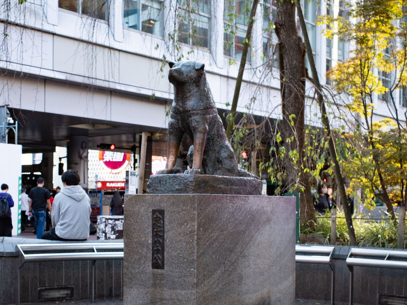 Die Hachiko-Statue am Bahnhof Shibuya in Japans Hauptstadt Tokio. - Foto: Taidgh Barron/ZUMA Press Wire/dpa