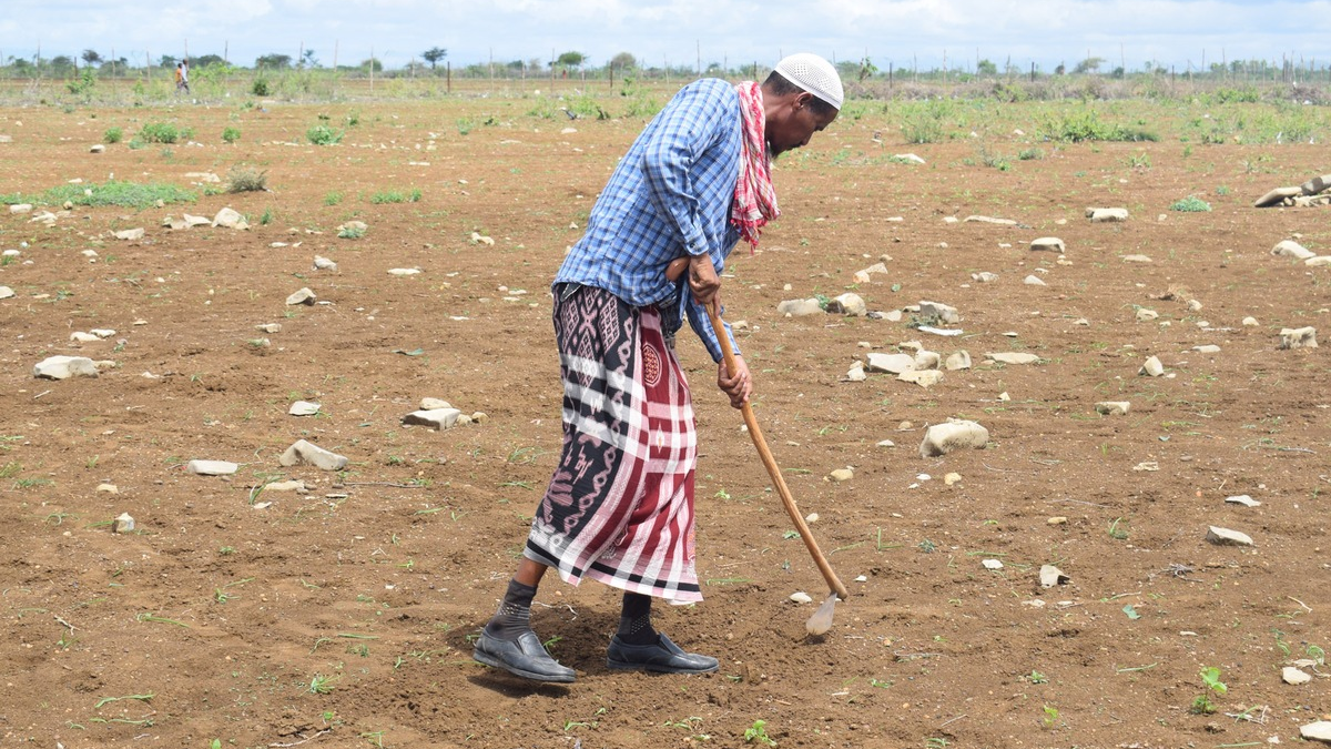 #InDenFokus: Hungersnot in Somalia - Foto: presseportal.de