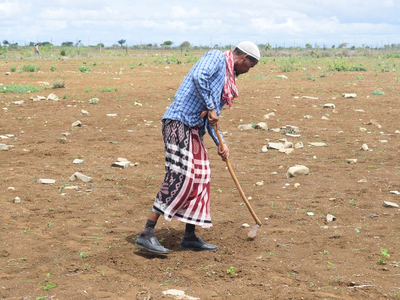 #InDenFokus: Hungersnot in Somalia - Foto: presseportal.de