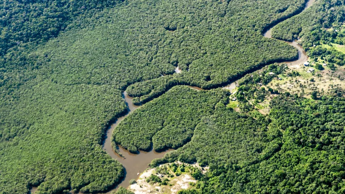 Ein kleiner Fluss schlängelt sich durch den Amazonas-Regenwald. Das brasilianische Amazonasgebiet gilt als CO2-Speicher. - Bild: Jens Büttner/dpa