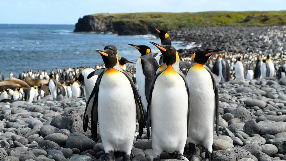 „Ein Jahr auf unserer Erde“ – Neue Naturdoku-Reihe im Ersten (Neu mit korrigiertem Titel) - Foto: presseportal.de