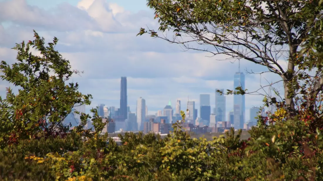 Die Skyline von Manhattan, im Vordergrund das Naturschutzgebiet Jamaica Bay Wildlife Refuge. - Bild: Christina Horsten/dpa