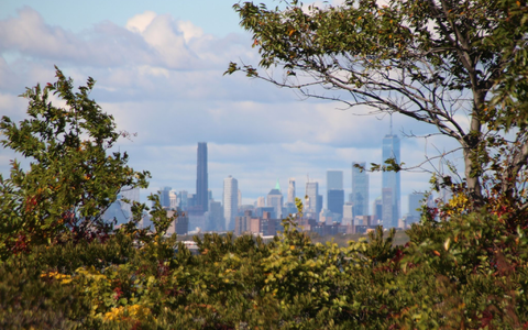 Die Skyline von Manhattan, im Vordergrund das Naturschutzgebiet Jamaica Bay Wildlife Refuge. - Foto: Christina Horsten/dpa