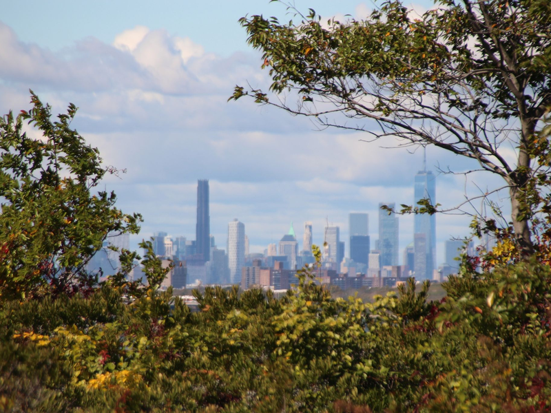 Die Skyline von Manhattan, im Vordergrund das Naturschutzgebiet Jamaica Bay Wildlife Refuge. - Foto: Christina Horsten/dpa