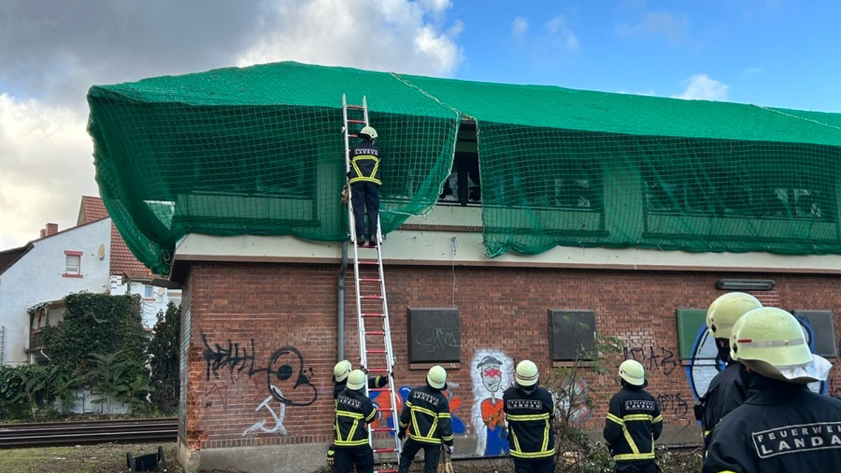 POL-PDLD: Landau- Tauben in Stellwerk gefangen - Foto: presseportal.de