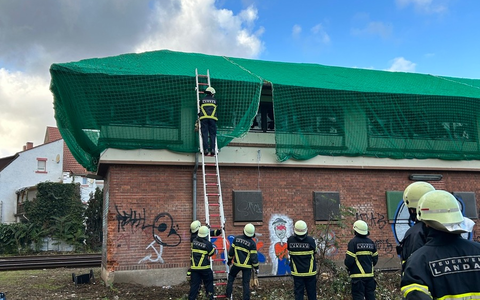 POL-PDLD: Landau- Tauben in Stellwerk gefangen - Foto: presseportal.de