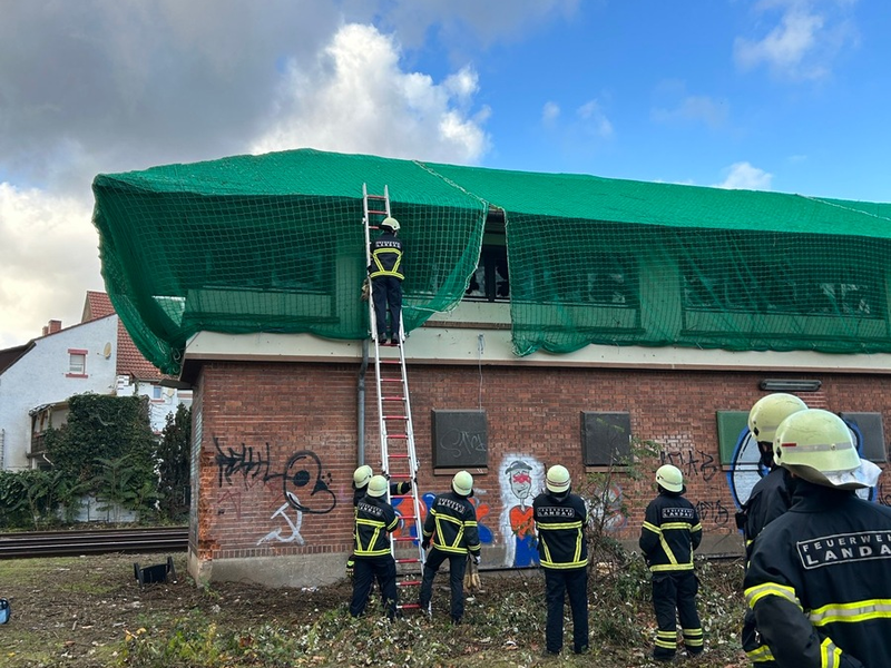 POL-PDLD: Landau- Tauben in Stellwerk gefangen - Foto: presseportal.de