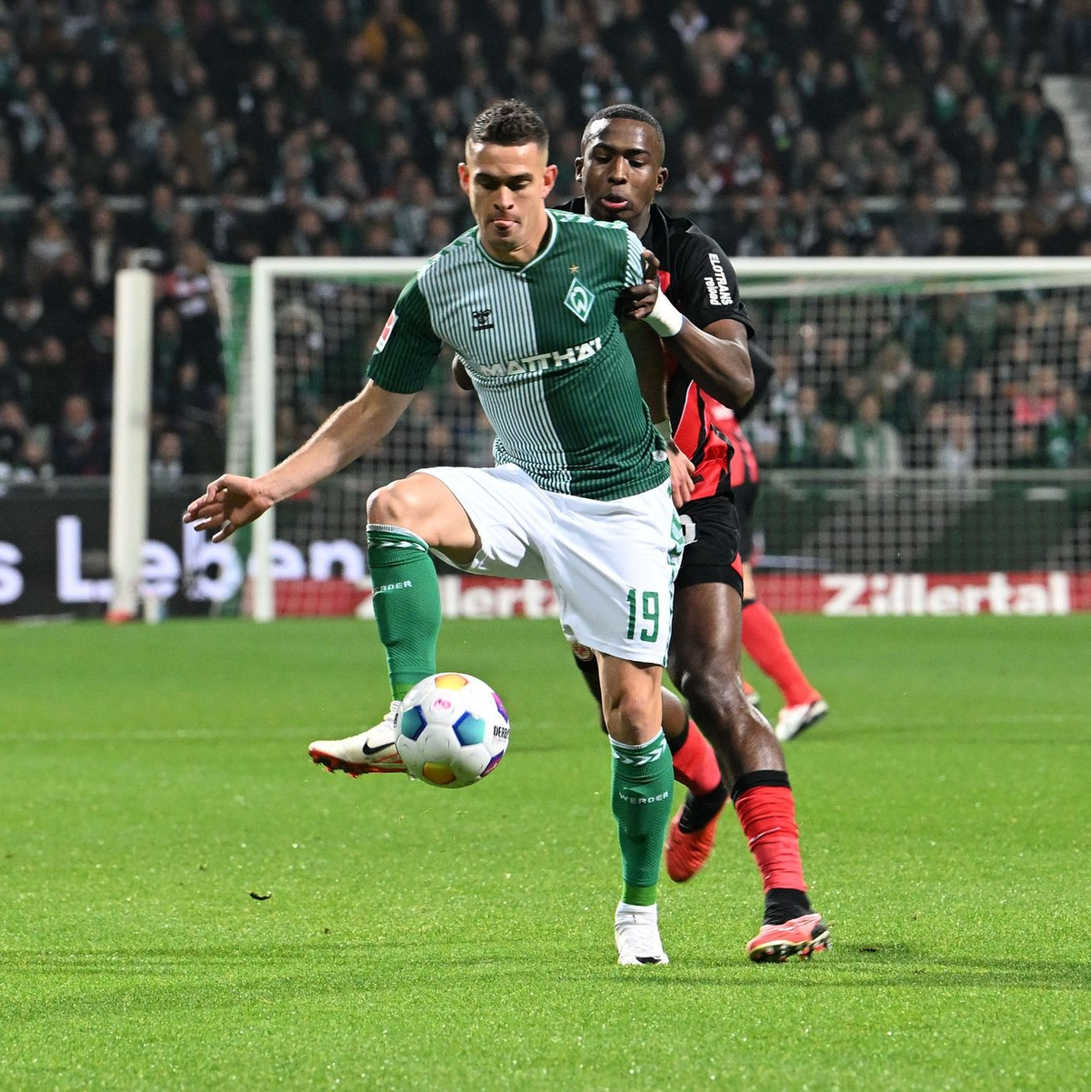 Hatte viel zu dirigieren: Werder-Trainer Horst Steffen. - Foto: --/dpa