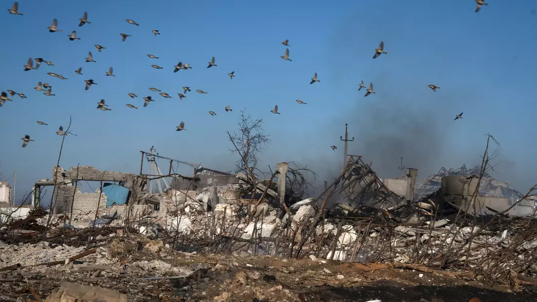 Ein Pionier der ukrainischen Armee untersucht von den russischen Truppen zurückgelassene Munition. - Bild: Efrem Lukatsky/AP/dpa