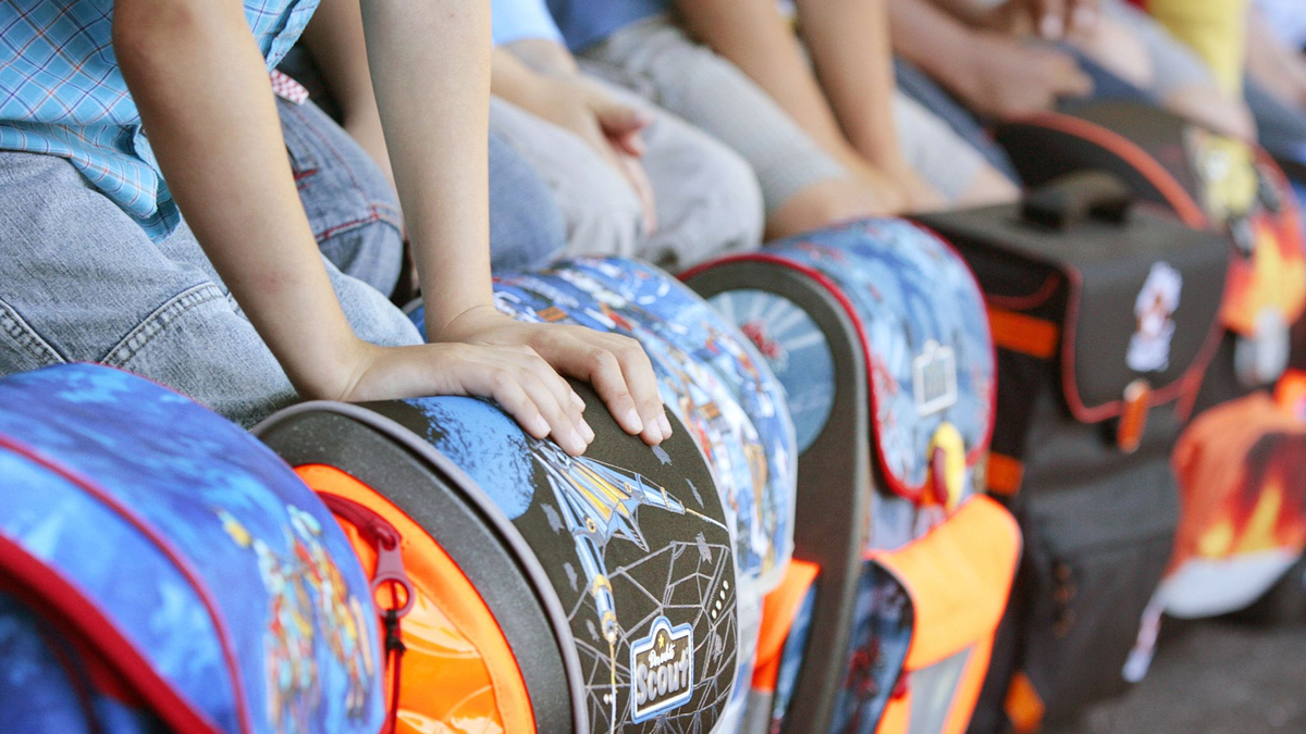 Erstklässler bei der Einschulung. Insgesamt wurden rund 830.600 Kinder in diesem Jahr eingeschult. - Foto: David-Wolfgang Ebener/dpa