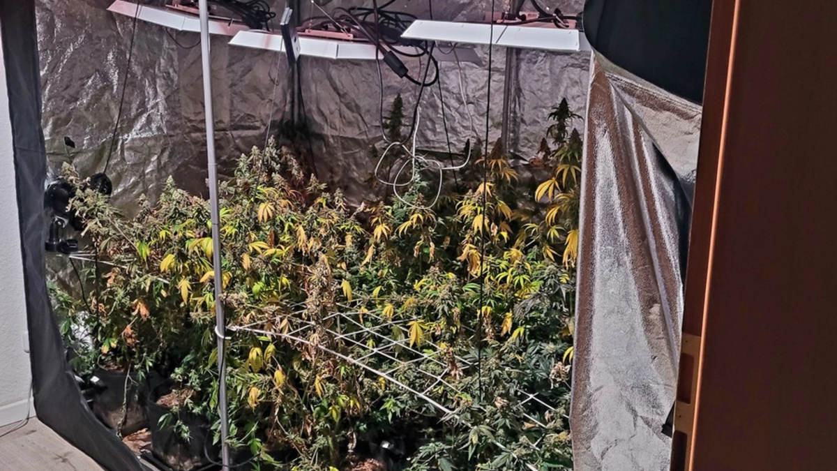 POL-SU: Drogenfahnder durchsuchen Wohnung - Foto: presseportal.de